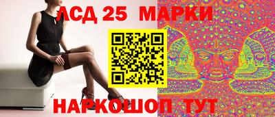 стаф Будённовск