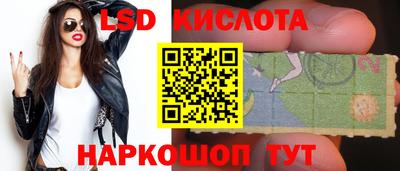 стаф Будённовск