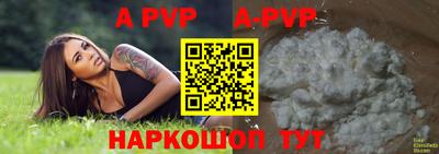 стаф Будённовск